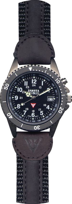 dakota watch gold case.